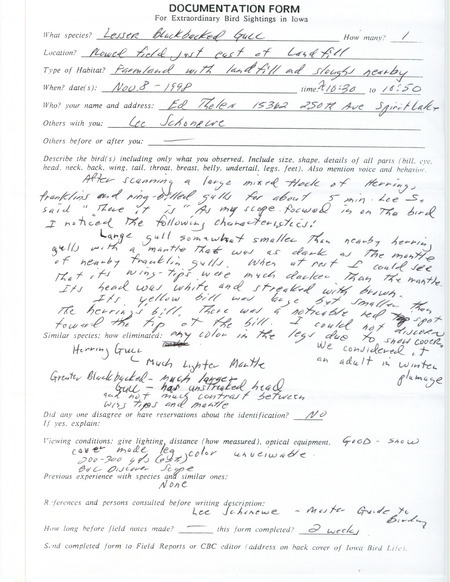 Rare bird documentation form for a Lesser Black-backed Gull at Iowa on November 8, 1998.