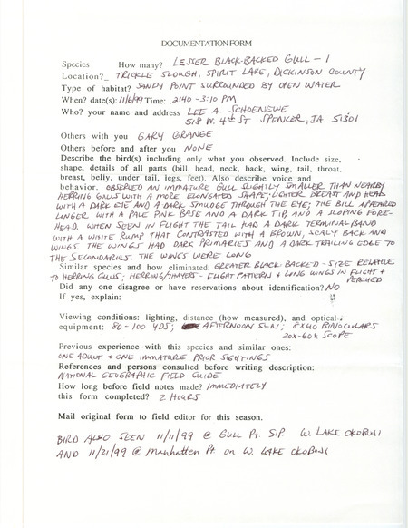 Rare bird documentation form for a Lesser Black-backed Gull at Trickle Slough at Spirit Lake in Dickinson County, IA on November 6, 1999.