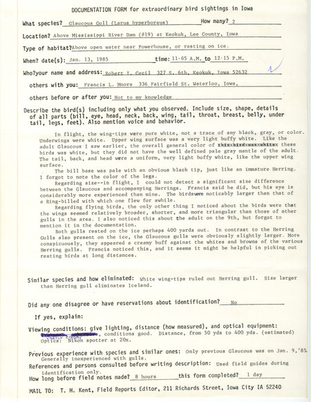 Rare bird documentation form for two Glaucous Gulls at Lock and Dam 19 near Keokuk in Lee County, IA on January 13, 1985.