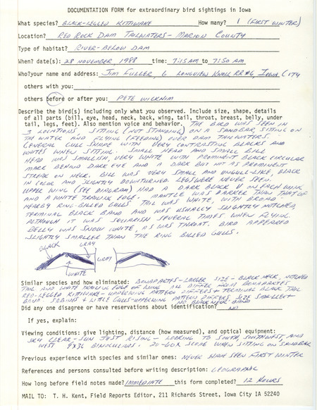 Rare bird documentation form for a Black-legged Kittiwake at Red Rock Dam in Marion County, IA on November 28, 1988.