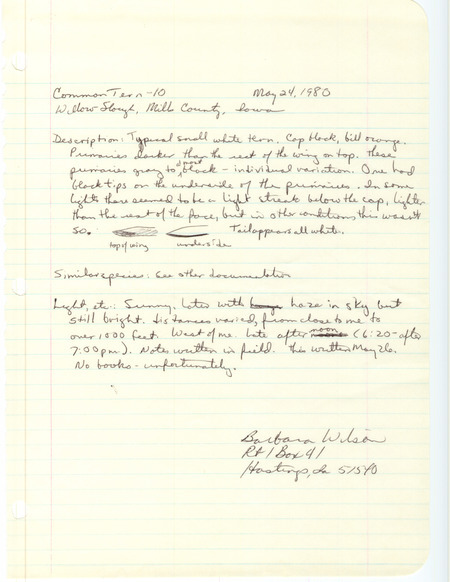 Rare bird documentation form for ten Common Terns at Willow Slough in Mills County, IA on May 24, 1980.