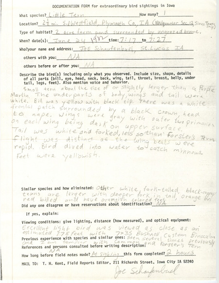Rare bird documentation form for a Little Tern south of Westfield in Plymouth County, IA on June 24, 1982.