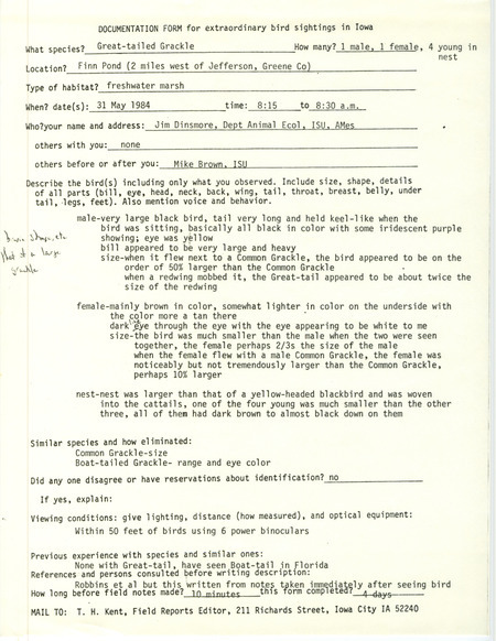Rare bird documentation form for six Great-tailed Grackles at Finn Pond in Greene County, IA on May 31, 1984.