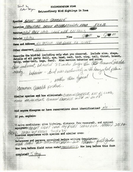 Rare bird documentation form for a Great-tailed Grackle at Crawford Creek Recreation Area in Ida County, IA on May 2, 1992.