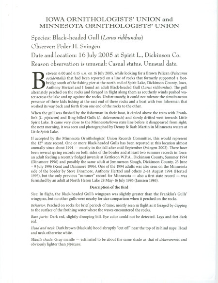 Documentation of a Black-headed Gull sighting at Spirit Lake contributed by Peder H. Svingen, July 16, 2005. This item was used as supporting documentation for the Iowa Ornithologists' Union Quarterly field report of summer 2005.