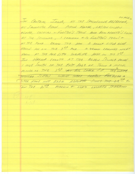 Notes for the Iowa Birdline update for May 8, 1989. Highlights include the sighting of all five Rail species in one area within a week.