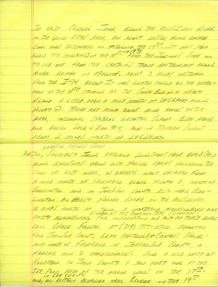 Notes for the Iowa Birdline update for February 19, 1990. Highlights of the update include sightings of an adult Lesser Black-backed Gull, an early Horned Grebe, an adult Tundra Swan, a Prairie Falcon, and a Pileated Woodpecker. Also of note was the return of an Evening Grosbeak to a feeder and a sighting of a Franklin's Gull in breeding plumage.