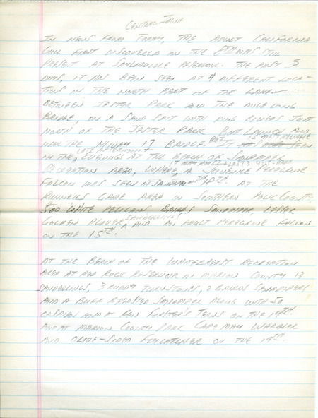 Iowa Birdline update for September 17, 1990. Highlights of the update include sightings of a California Gull, a Red Knot, and a Black Rail. Other observations of note were of a Laughing Gull, Barn Owls, and numerous species of Warblers and shorebirds.