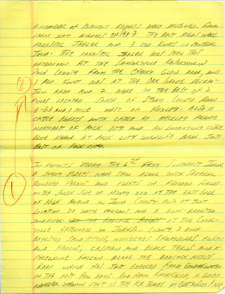Iowa Birdline update for September 3, 1990. Highlights of the update include sightings of a Parasitic Jaeger and Red Knots. Other sightings of note were of Snowy Egrets, Barn Owls, Little Blue Herons, adult and immature Common Moorhens, and 100's of Great Blue Herons and Great Egrets. Also reported were numerous species of shorebirds, waterfowl, Plovers, and Warblers.