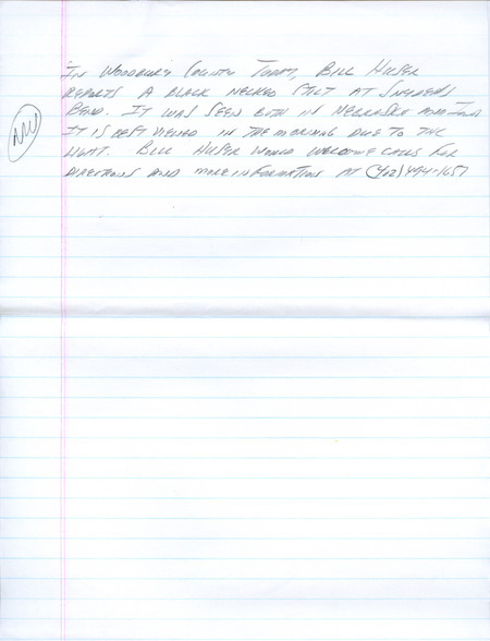 Email for the Iowa Birdline update for April 1, 1991. Highlights include a Lesser Black-backed Gull, Bohemian Waxwing, Northern Goshawk, Le Conte's Sparrow, Long-tailed Duck and all three Swan species. Includes hand written notes in preparation for next week's update.