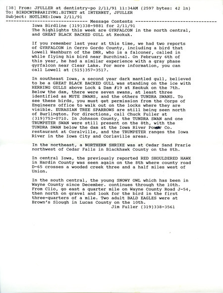 Email of the Iowa Birdline update for February 11, 1991. Highlights include a Gyrfalcon and a Great Black-backed Gull.