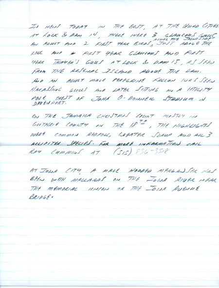 Email of Iowa Birdline updates for December 16, 1991. The highlights for the update include the sighting a Marbled Murrelet, Glaucous Gulls including two first year birds, and a first year Thayer's Gull. Also included are handwritten notes with sightings of a Common Redpoll, White-winged Crossbill, Snow Bunting, Long and Short-eared Owls and twelve Eurasian Tree Sparrows.