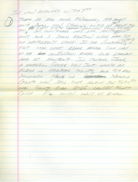 Email of Iowa Birdline updates for December 2, 1991. The highlights for the update include sightings of Thayer's Gulls, Lesser Black-backed Gull, both a Mute Swan and an immature Tundra Swan, White-winged Scoter and a Long-tailed Duck. Also included are handwritten notes with sightings of a Great Black-backed Gull and an immature Golden Eagle.