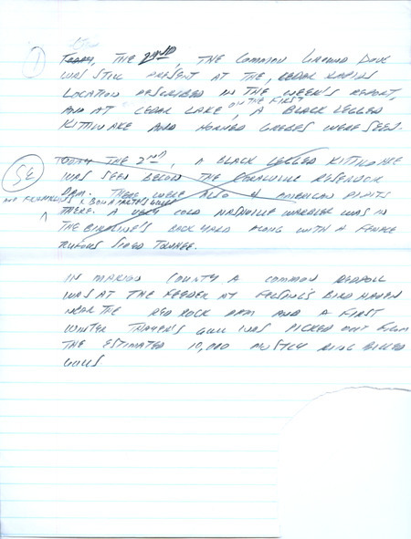 Email of Iowa Birdline updates for October 28, 1991. The highlights for the update include sightings of a Common Ground-Dove, Sabine's Gull, Red Phalarope and a Summer Tanager. Also included are handwritten notes with sightings of a Black-legged Kittiwake, Evening Grosbeak and Red-breasted Merganser.
