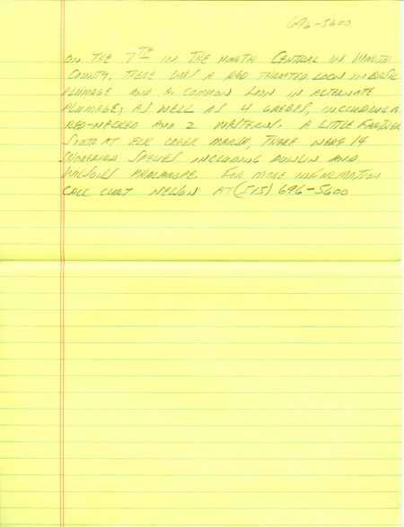 Email for the Iowa Birdline update for May 2, 1994. Highlights include Western Tanager, Fish Crow, Lark Bunting, Bewick's Wren and Yellow-crowned Night Heron. Includes hand written notes in preparation for next week's update.