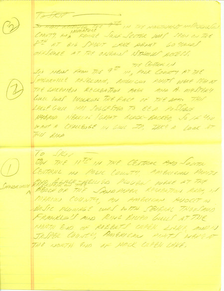 Iowa RBA update for October 7, 1996. Highlights of the update include sightings of two Sabine's Gulls in northwest Iowa and the early appearance of a Thayer's Gull in the southeast part of the state. Also of note were the number of migrants moving into the state, including Sparrows, Kinglets, and late Warblers. Also included are handwritten notes for the next week's update with sightings of a female Surf Scoter and American Pipits.