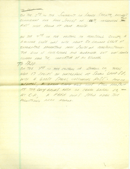 Iowa RBA update for March 3, 1997. Highlights of the update include the return of Killdeer and Red-winged Blackbirds to the state as well as the continued presence of Great Gray Owls and a Pinyon Jay. Other interesting observations were of a Snowy Owl, six Red Crossbills, and a first year Thayer's Gull. Also included are handwritten notes for the next week's update with sightings of a Brewer's Blackbird and a Barnacle Goose.