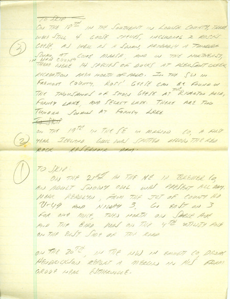 Iowa RBA update for March 17, 1997. Highlights of the update include the continued presence of a Pinyon Jay and two Ross' Geese as well as sightings of a Red-shouldered Hawk, a Sandhill Crane, three Trumpeter Swans, and an estimated ten thousand Lapland Longspurs. Also included are handwritten notes for the next week's update with sightings of 14 species of Ducks and an Iceland Gull.