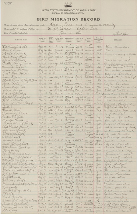 Register dated January 2, 1924. United States Department of Agriculture Bureau of Biological Survey register filled out by Walter Rosene listing migratory birds sighted around the Ogden area for the 1923 calendar year.