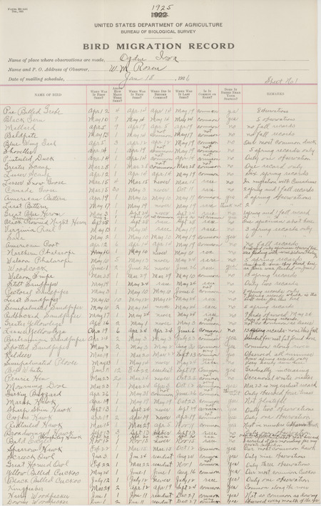 Register dated January 18, 1926. United States Department of Agriculture Bureau of Biological Survey register filled out by Walter Rosene listing migratory birds sighted around Ogden for the 1925 calendar year.