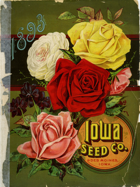 Iowa Seed Company catalog, 1893