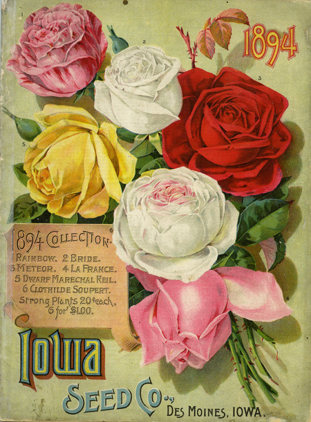 Iowa Seed Company catalog, 1894