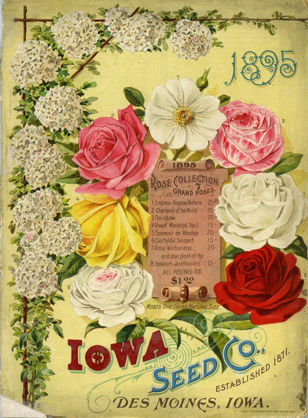Iowa Seed Company catalog, 1895