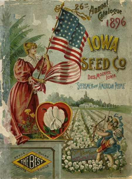 Page numbers 53 and 54 are missing from the original catalog.