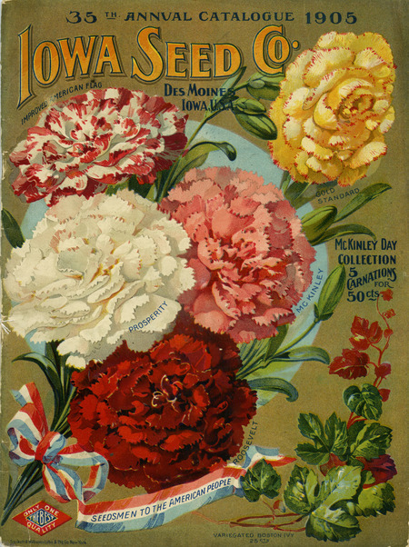 Iowa Seed Company catalog, 1905