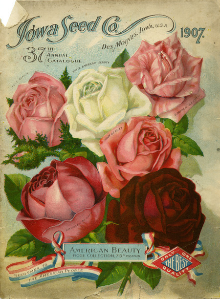 Iowa Seed Company catalog, 1907