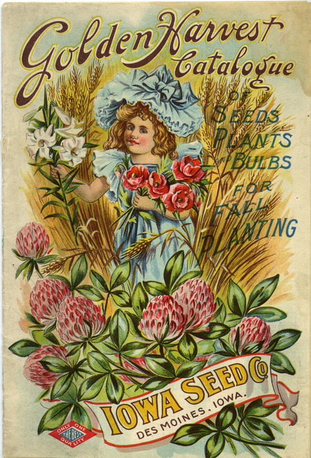 Iowa Seed Company catalog golden harvest, 1907