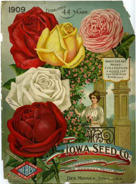Iowa Seed Company catalog, 1909