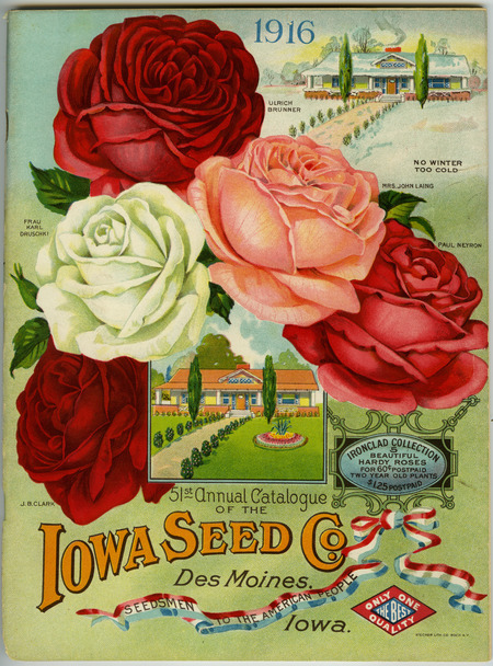 Iowa Seed Company catalog, 1916