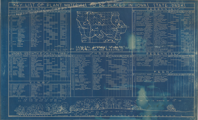 A blueprint containing a key list of plant materials to be placed in Iowa State Parks.