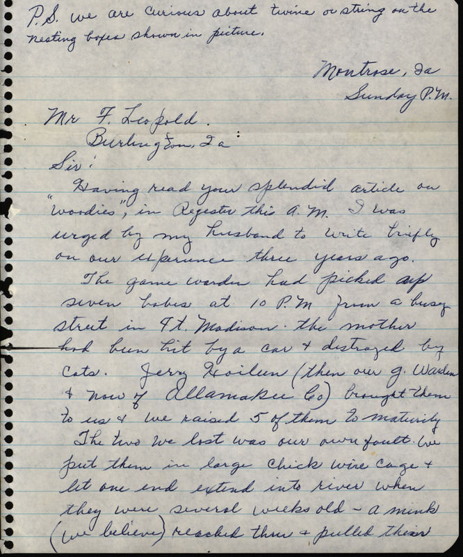 Letter from Grace McManis to Frederic Leopold regarding wood ducks, May 15, 1966. The letter expresses appreciation for Leopold's work with wood ducks. McManis also conveys a personal experience with hand raising seven young orphaned wood ducks. This document is related to a reply from Frederic Leopold.