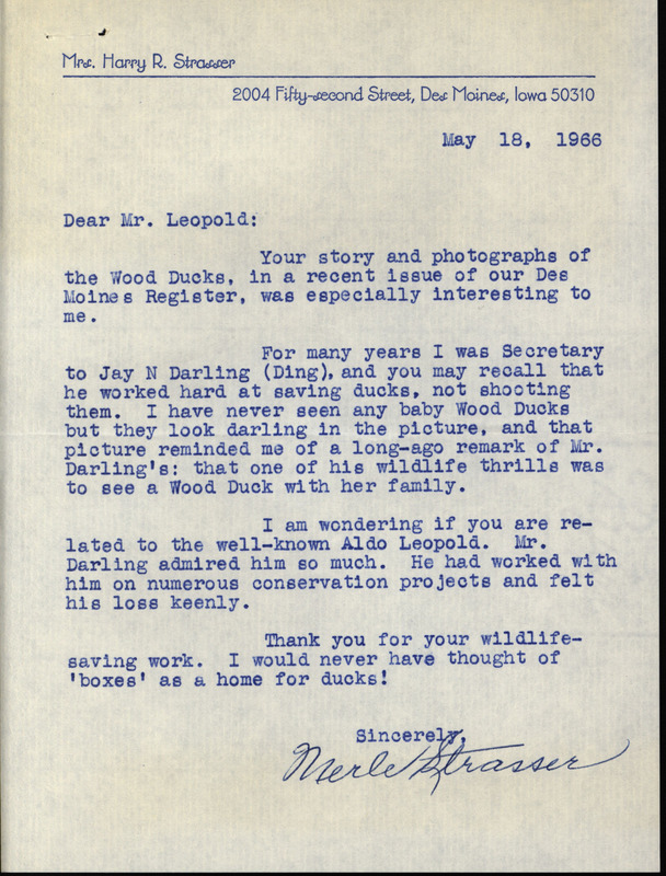 Letter from Merle Strasser to Frederic Leopold regarding wood ducks, May 18, 1966. The letter conveys thanks and appreciation for Leopold's work with wood ducks. Strasser, who was a secretary to Jay N. Darling, also includes a few of Darling's remarks on conservation, Aldo Leopold and wood ducks. This document is related to a reply from Frederic Leopold.