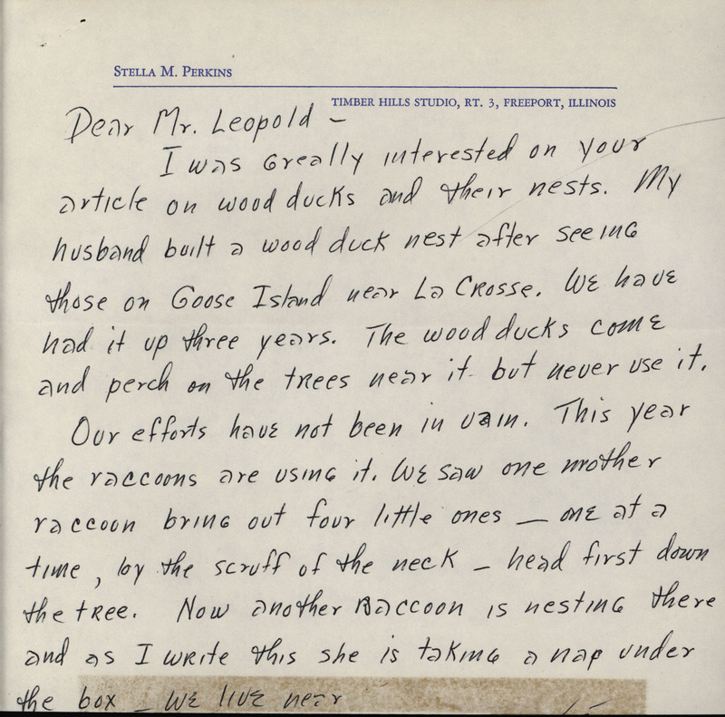 Letter from Stella Perkins to Frederic Leopold regarding wood duck houses. The letter asks for guidance on how to attract wood ducks to duck houses instead of raccoons. A hand-drawn picture of a raccoon and a wood duck house in a tree is included. This document is related to a reply from Frederic Leopold.