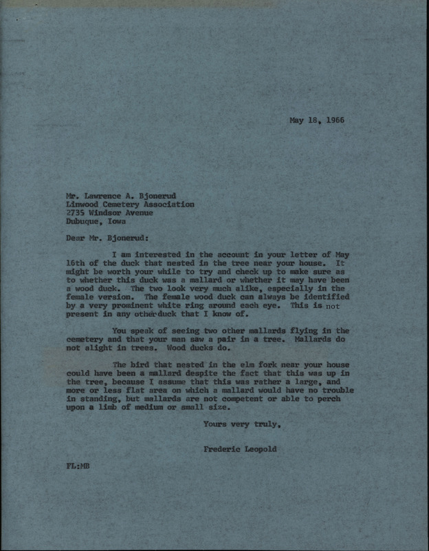 Letter from Frederic Leopold to Lawrence A. Bjonerud regarding identifying wood ducks, May 18, 1966. The letter offers suggestions on how to tell the difference between a Mallard and a wood duck since the two ducks look similar. This document is in response to a letter from Lawrence A. Bjonerud.