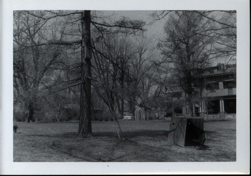 A bare tree with a ladder leaning next to the wood duck house that is attached to the tree trunk, 1960. An observation blind is located close to the base of tree. Behind the tree and the blind is Frederic Leopold's house.