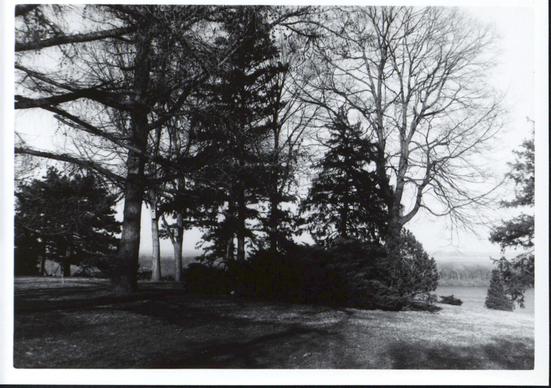 Several trees along a bluff overlooking the Mississippi River that each have a wooden wood duck house attached to the trunk, 1965.