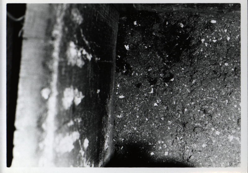 The nesting material and other debris on the inside bottom of a wooden wood duck house, 1965.