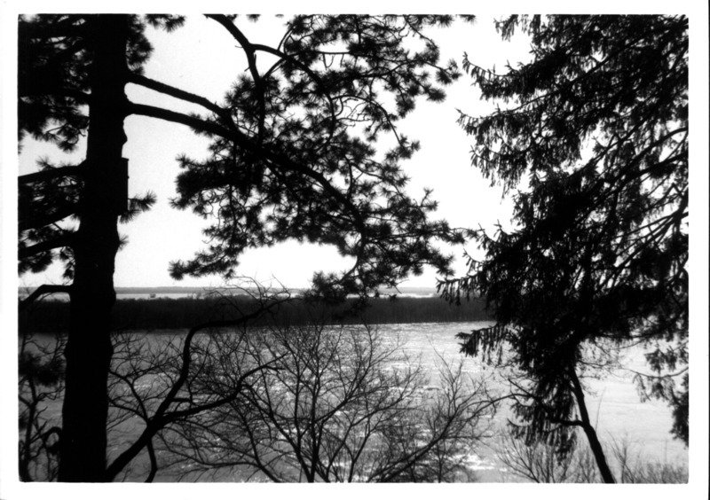 A wooden wood duck house attached to a tree located along the Mississippi River, 1966.