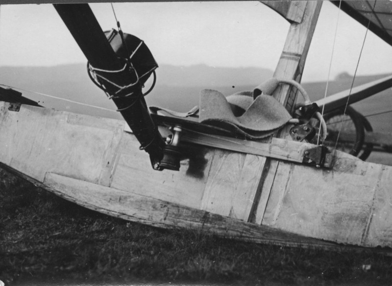 Tailless Zoglin--ancestor of Storch IX "Schwanzloser Zogling."