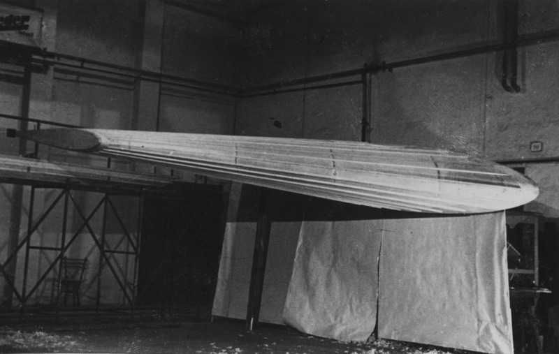 Delta VI turbojet delta-fighter or P11 twin-tail.