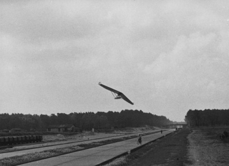 Tailless Zoglin--ancestor of Storch IX "Schwanzloser Zogling."