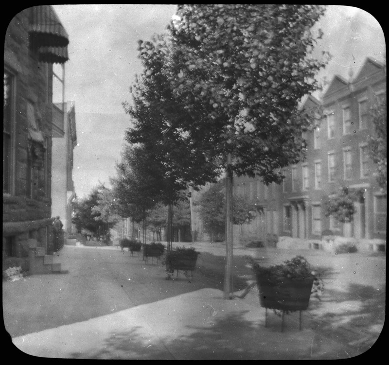 A street scene with trees and tubs of plants lining the sidewalk, Harrisburg, Pennsylvania.