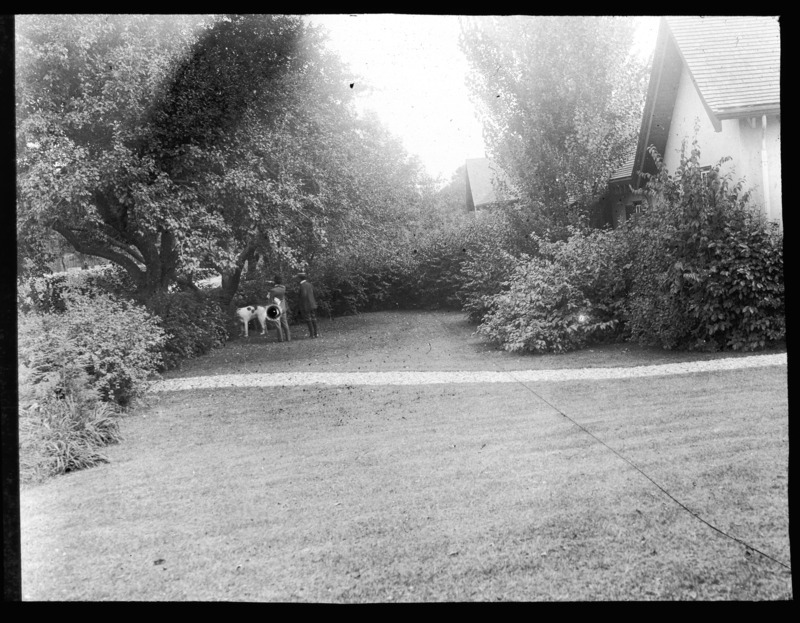 Border planting at the George Kunhardt estate, North Andover, Massachusetts.