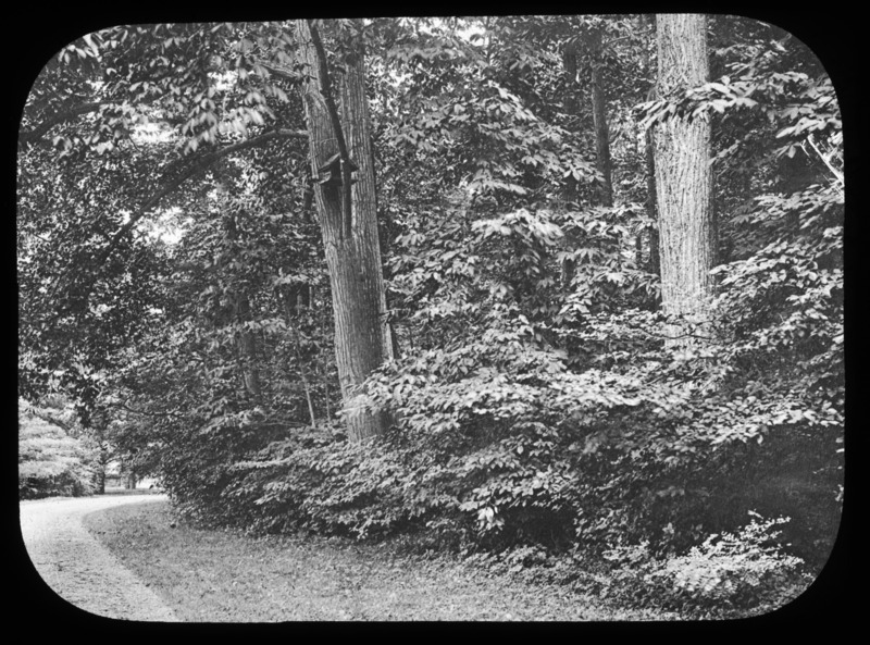 Entrance to William Rockefeller's estate, Tarrytown, New York.