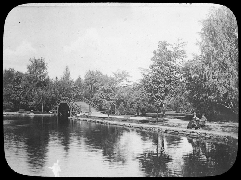 Bare pond edge, Elm Park, Worcester, Massachusetts.