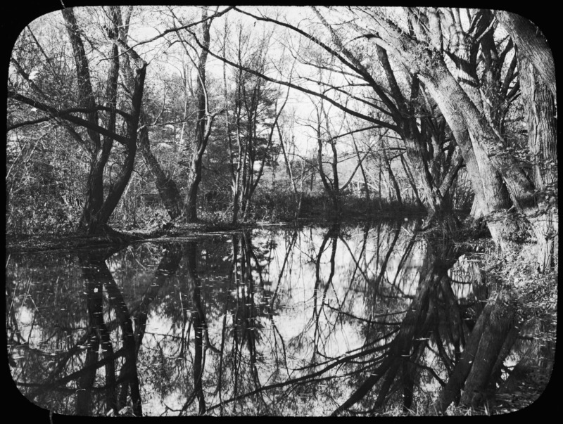 A spring river view with reflections.